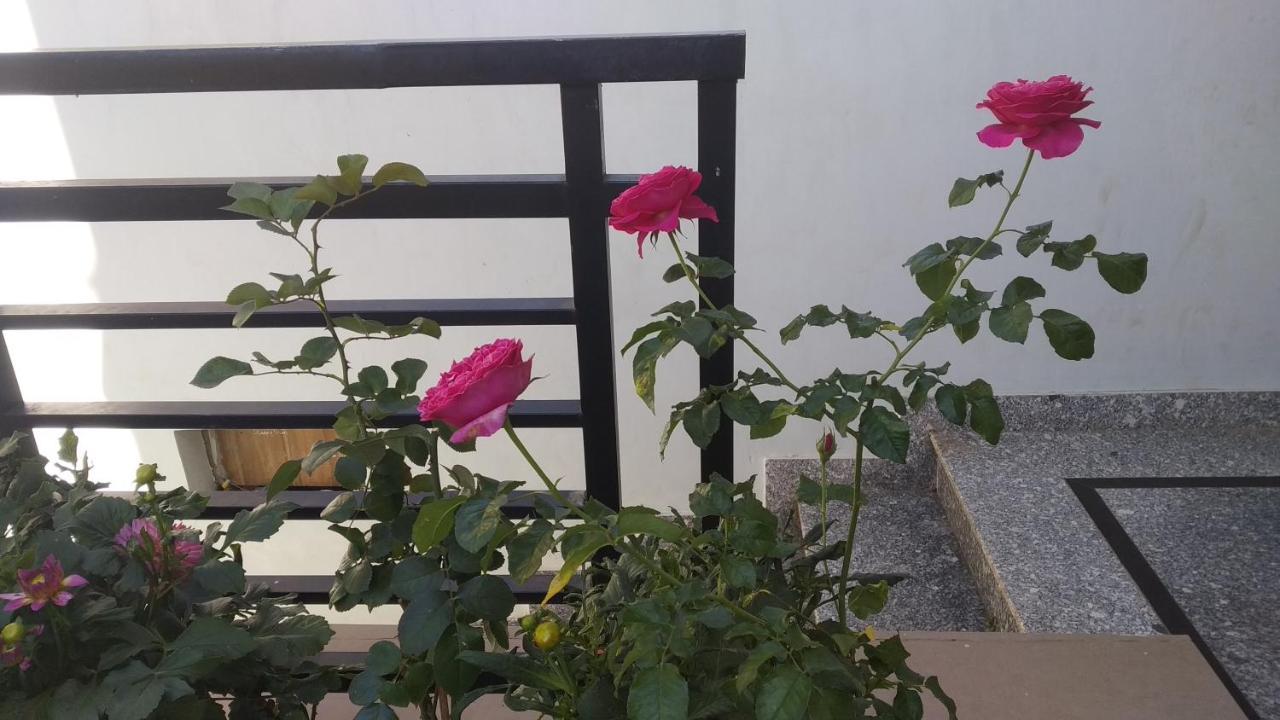 Mai DaLat Homestay Luaran gambar